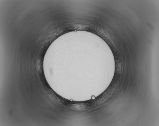 X0000113100317200909251037