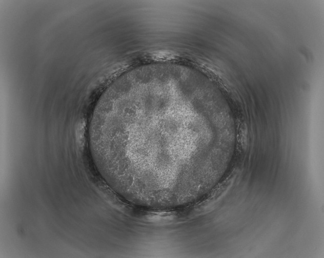X0000113100319200909251036