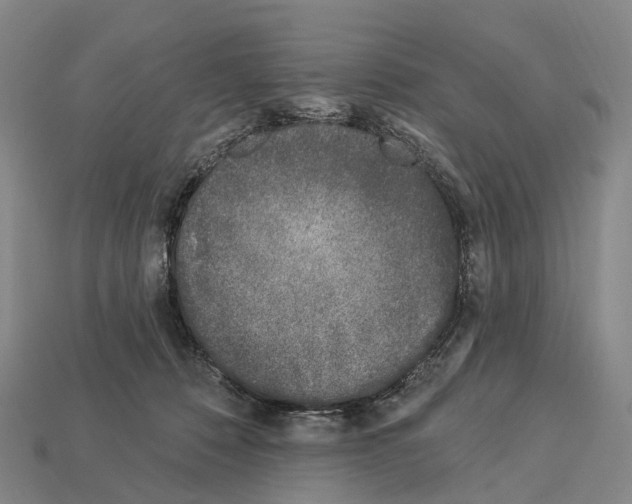 X0000113100320200909251036