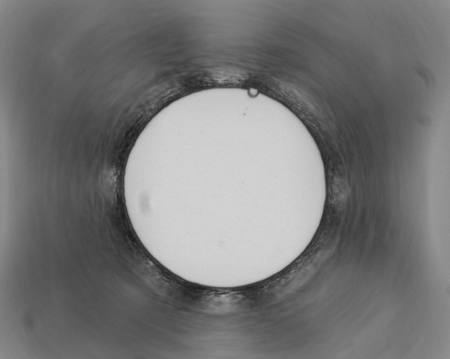 X0000113100321200909251036