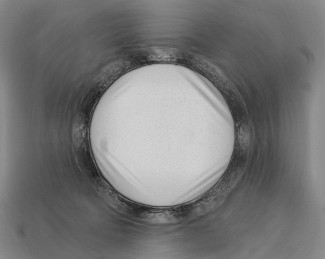X0000113100322200909251036