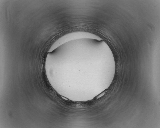 X0000113100324200909251036