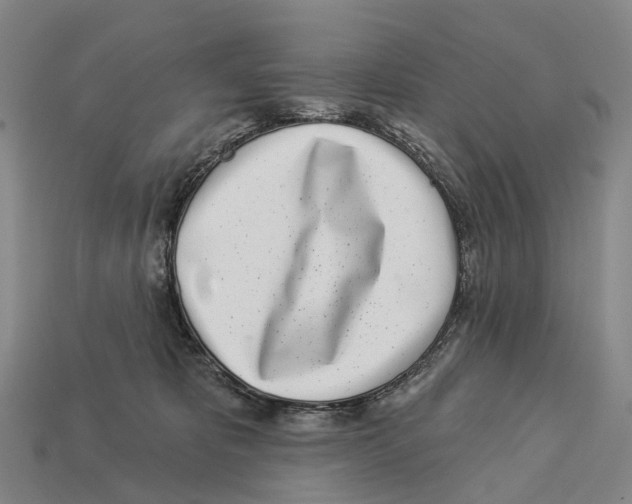X0000113100325200909251036