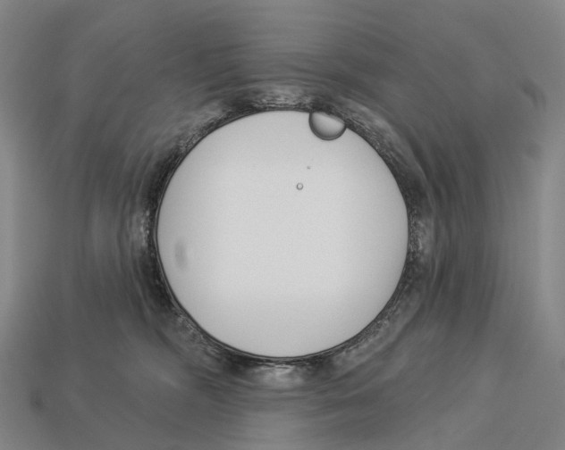 X0000113100326200909251036