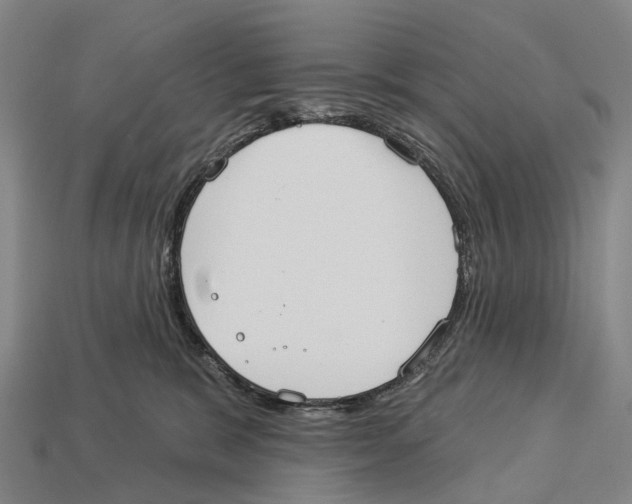 X0000113100327200909251036