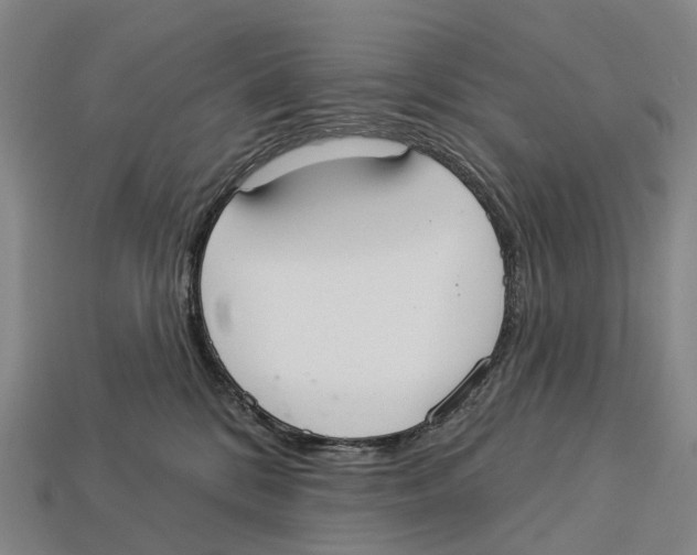 X0000113100328200909251036