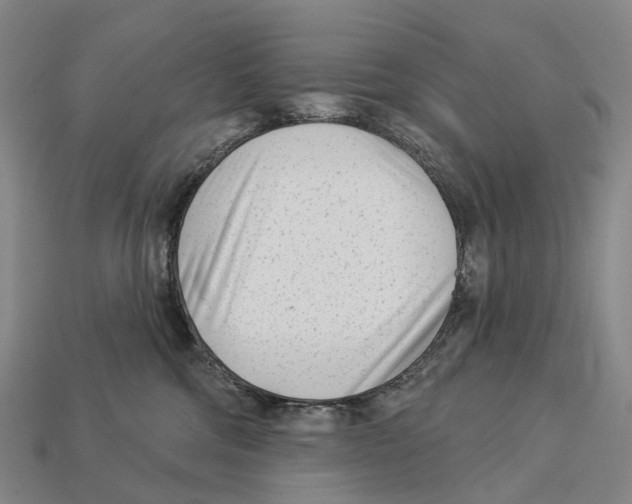 X0000113100330200909251036