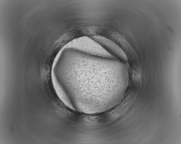 X0000113100332200909251036