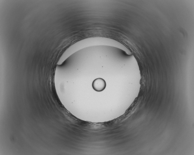 X0000113100333200909251036