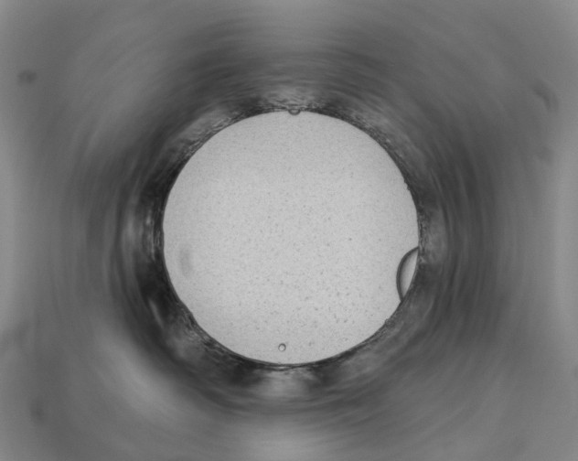 X0000113100334200909251036