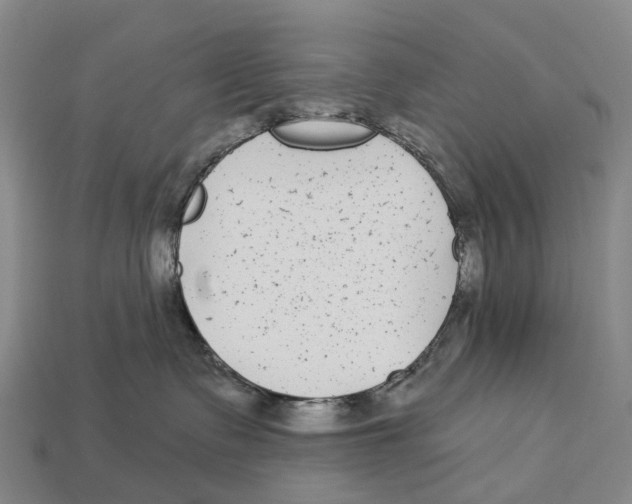 X0000113100335200909251036