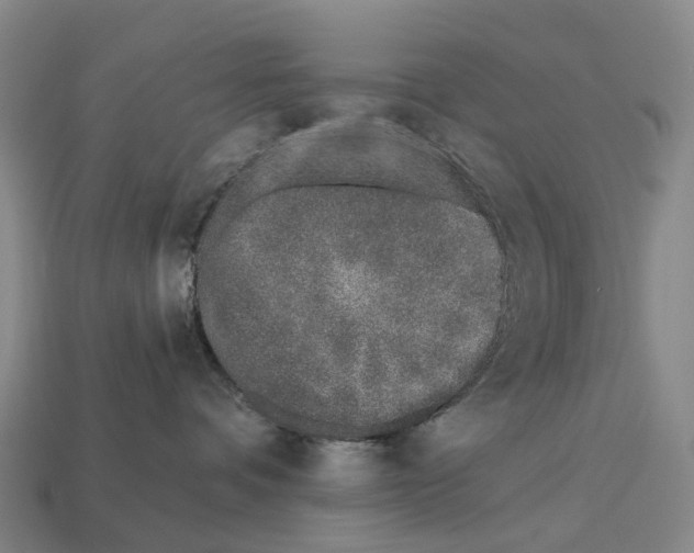 X0000113100336200909251036