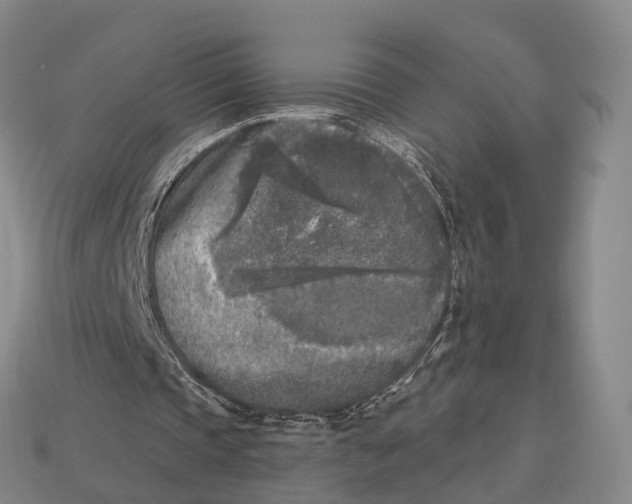 X0000113100337200909251036