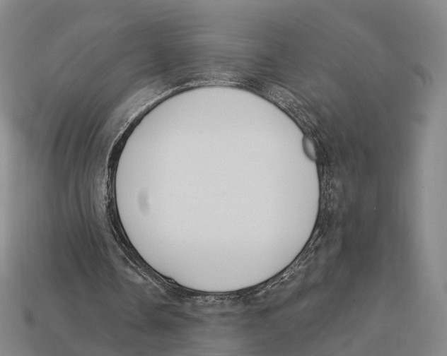 X0000113100338200909251036