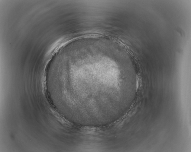 X0000113100339200909251036