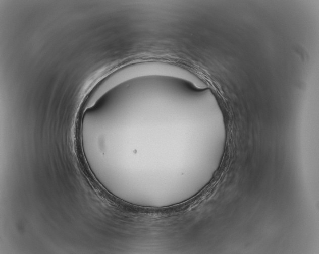 X0000113100340200909251036