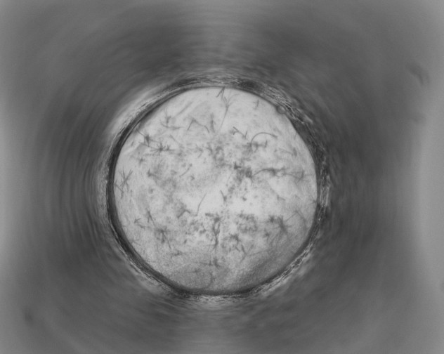 X0000113100341200909251036