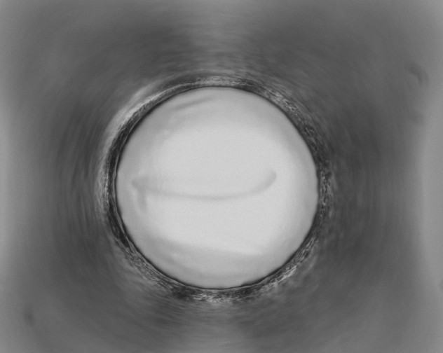 X0000113100343200909251036