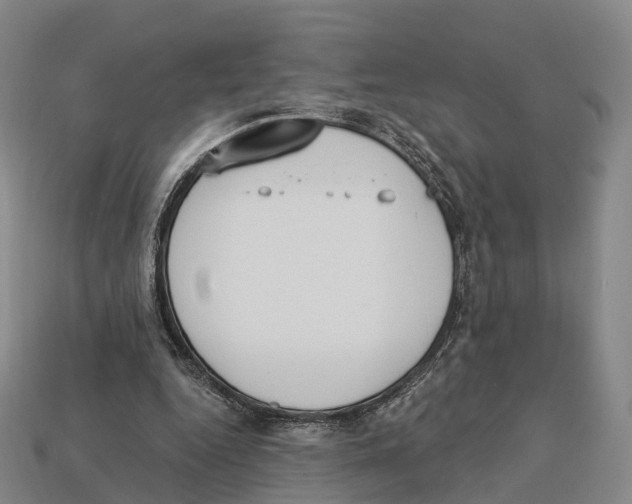 X0000113100344200909251036