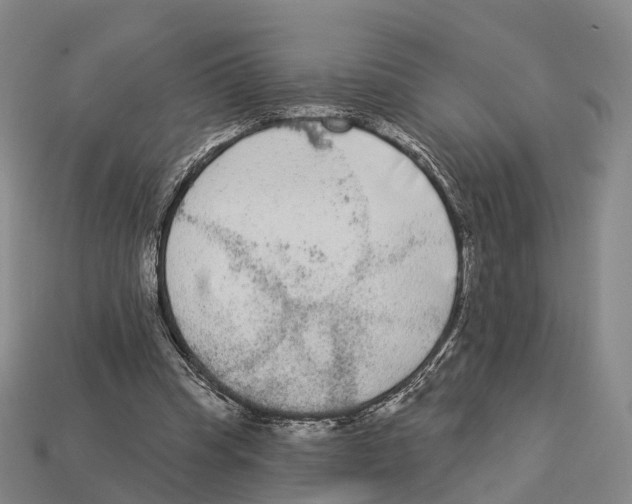 X0000113100345200909251036