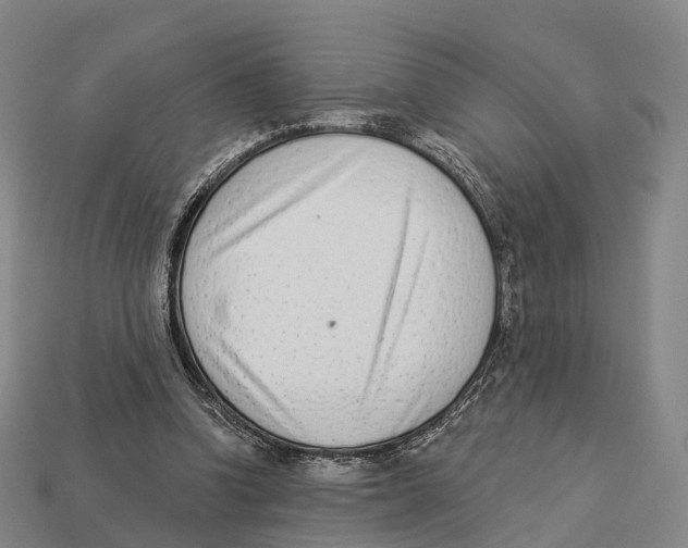X0000113100346200909251036