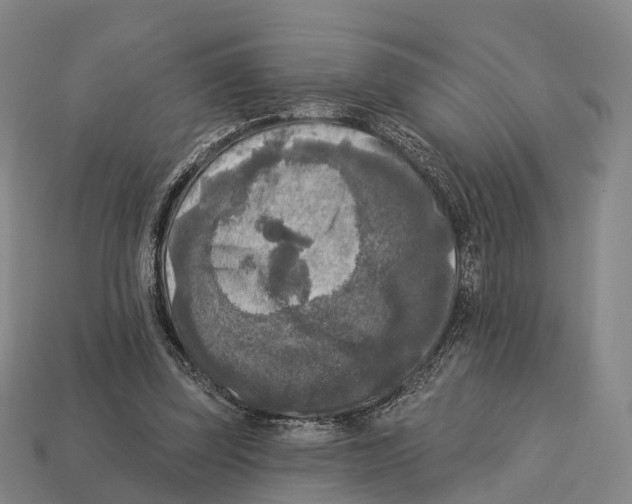 X0000113100347200909251036