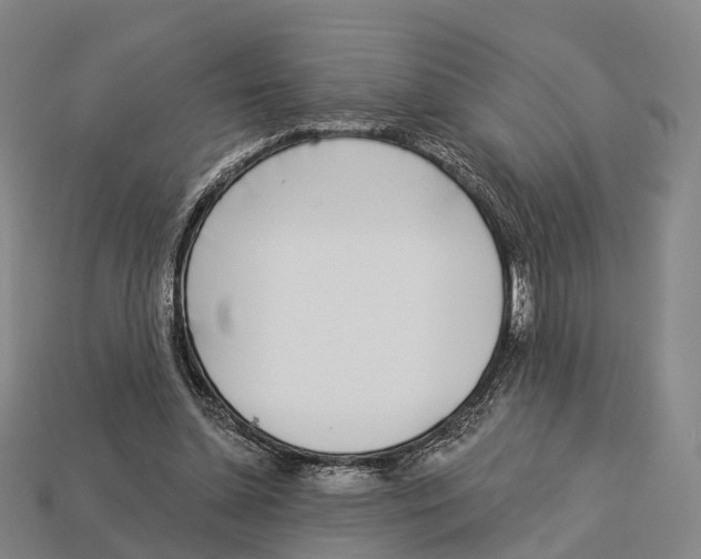 X0000113100348200909251036