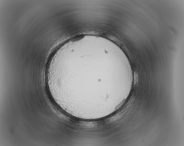 X0000113100349200909251036