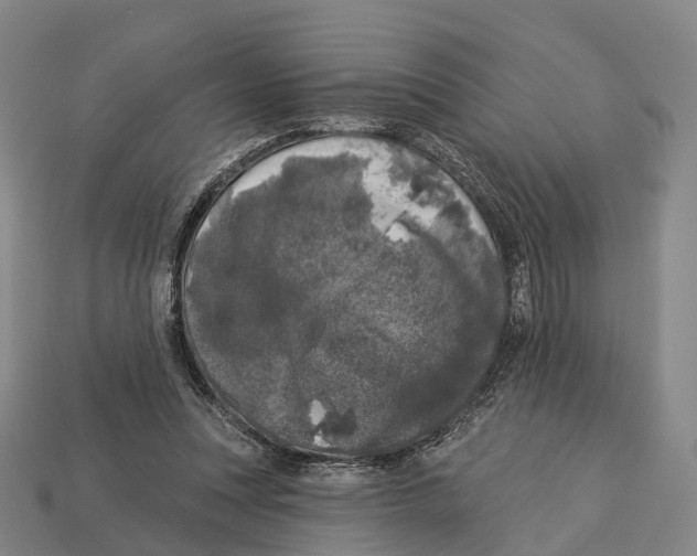 X0000113100351200909251036