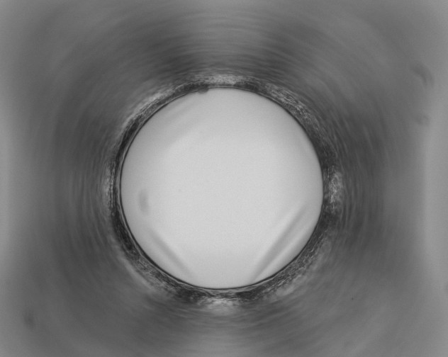 X0000113100352200909251036