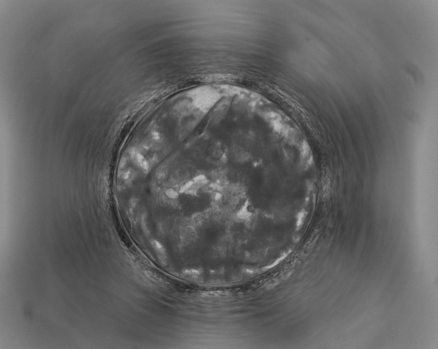 X0000113100353200909251036