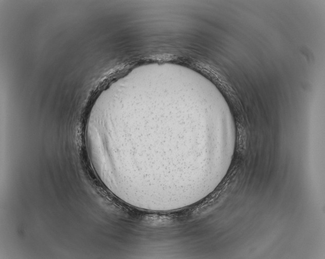 X0000113100354200909251036