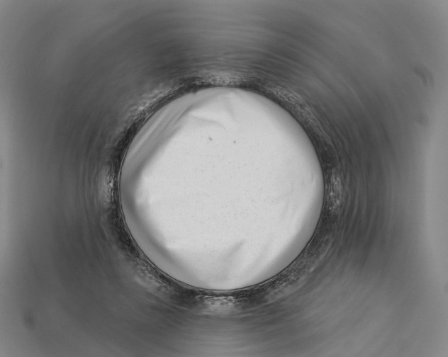 X0000113100355200909251036