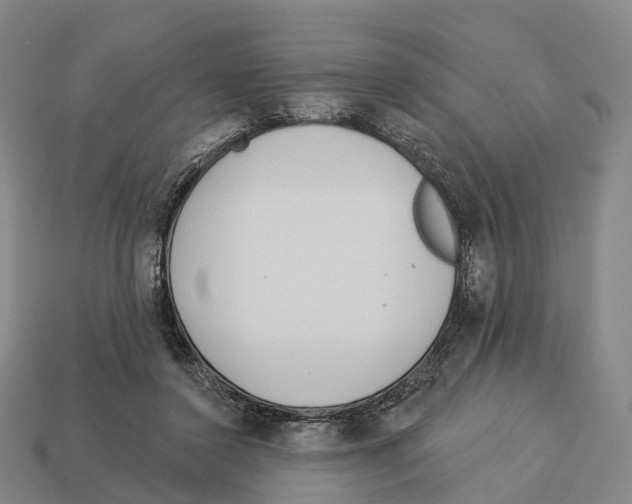 X0000113100356200909251036