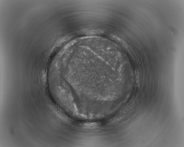 X0000113100357200909251036