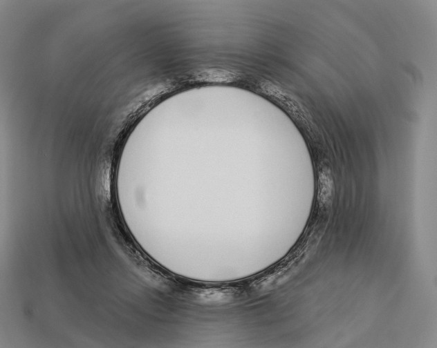 X0000113100358200909251036