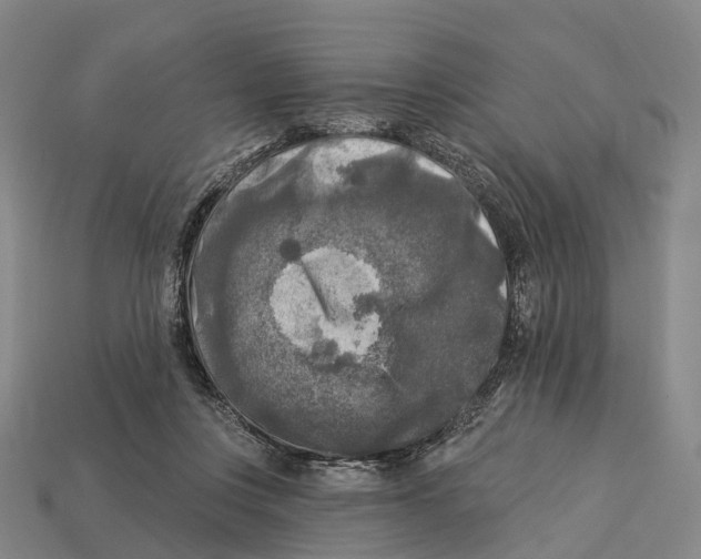 X0000113100359200909251036