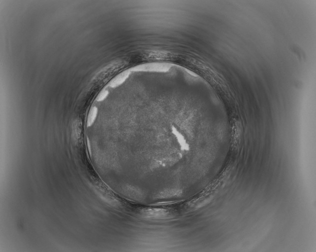 X0000113100361200909251036