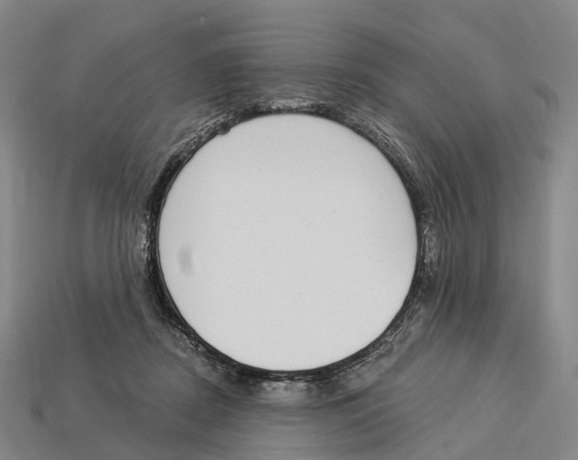 X0000113100362200909251036