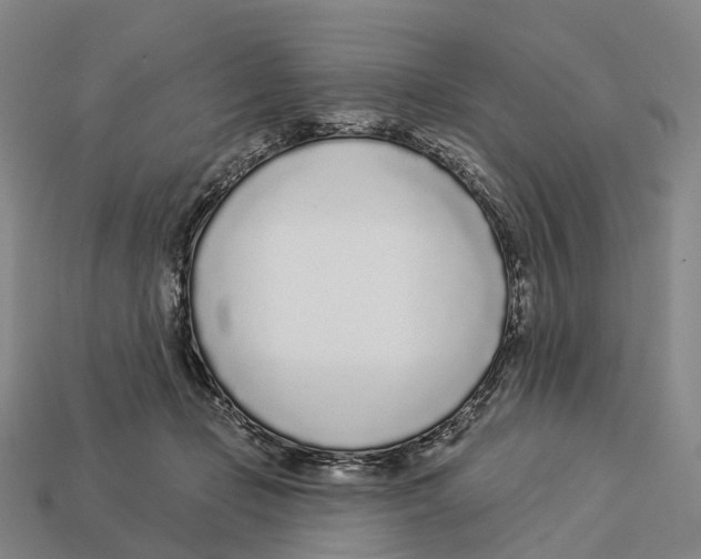 X0000113100365200909251036