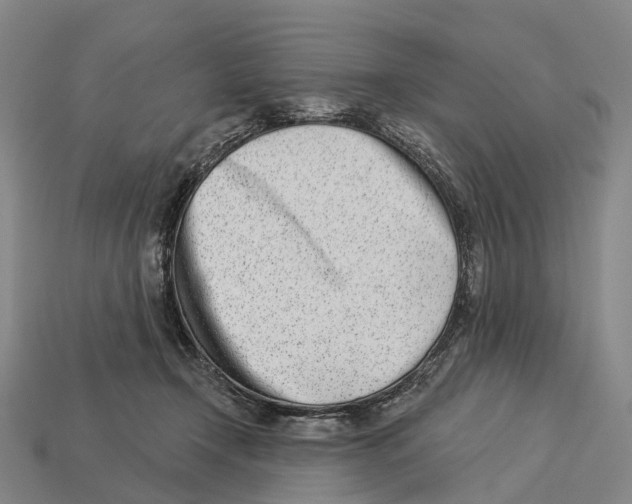 X0000113100366200909251036