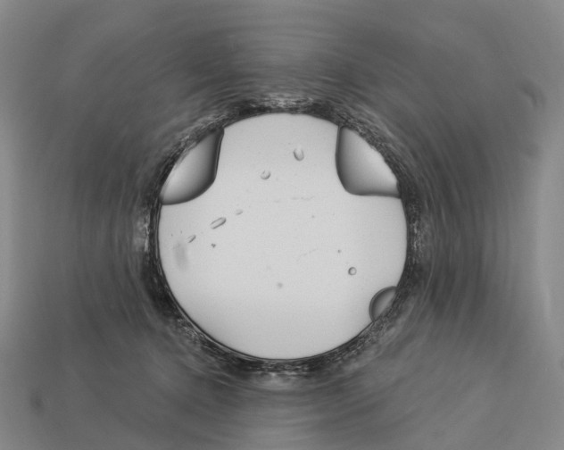 X0000113100368200909251036