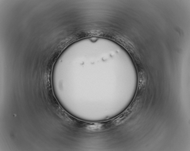 X0000113100369200909251036