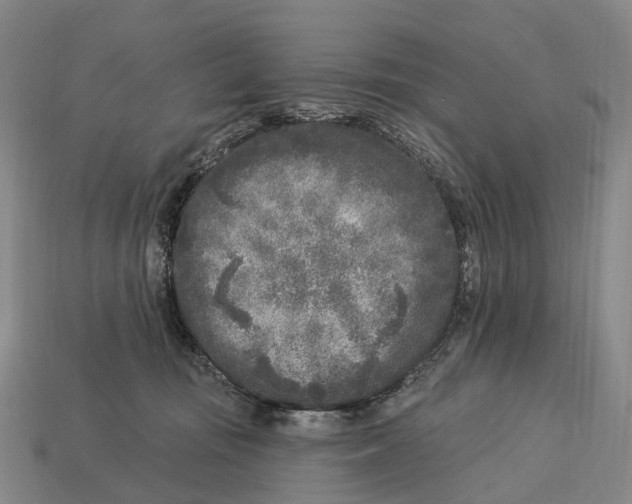 X0000113100371200909251036
