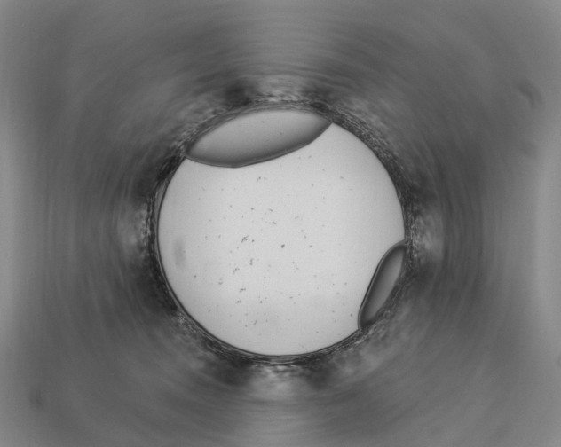 X0000113100372200909251036