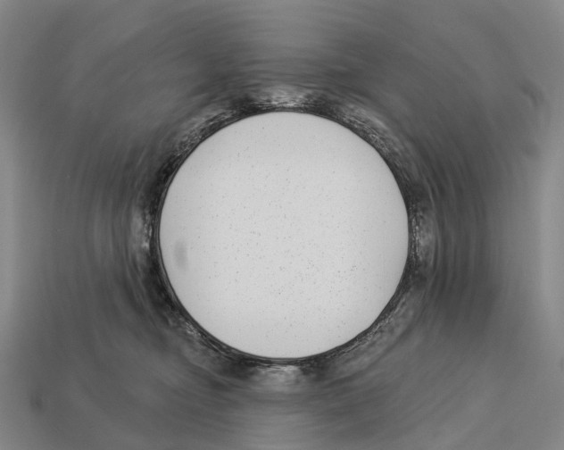 X0000113100374200909251036