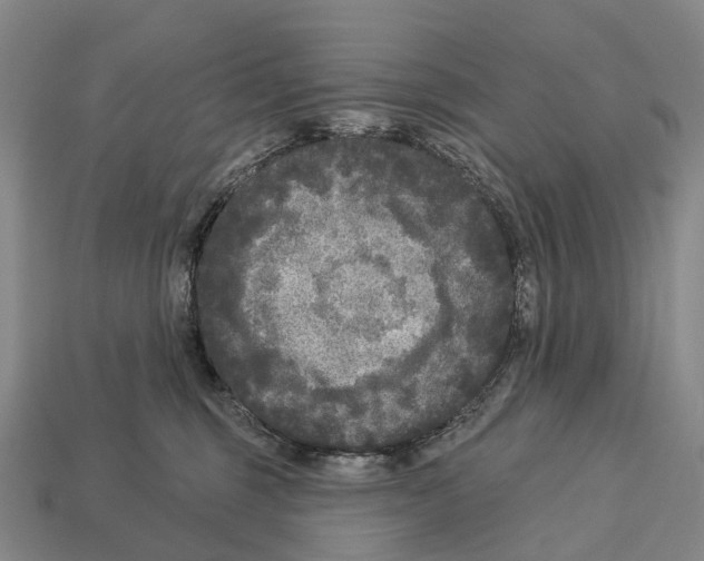 X0000113100375200909251036