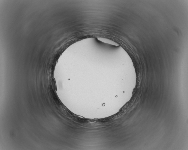 X0000113100376200909251036