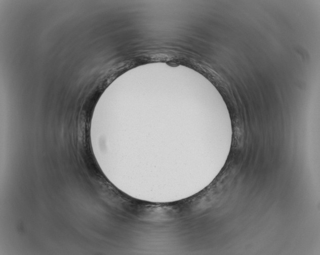 X0000113100379200909251036