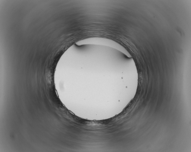 X0000113100380200909251036